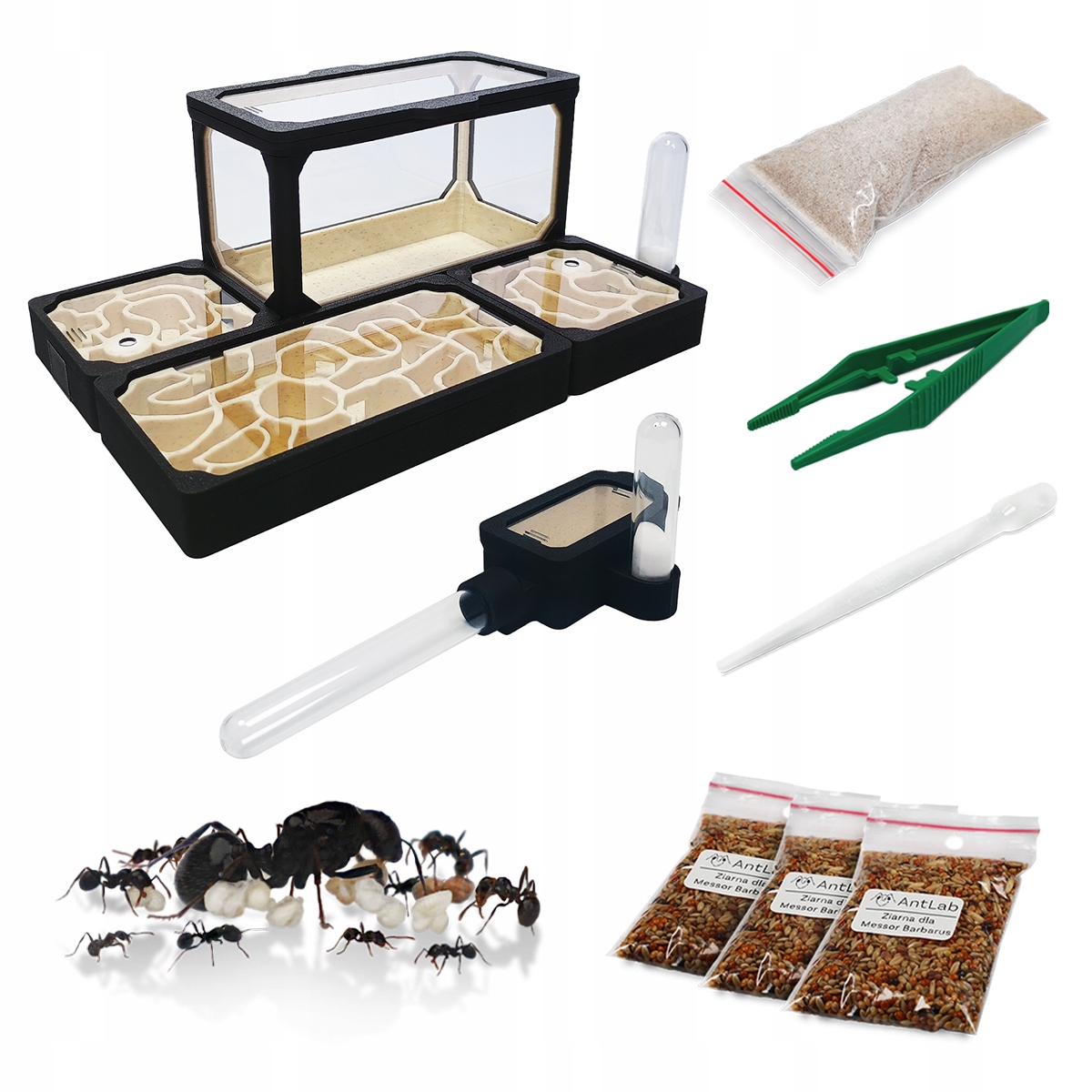 Chov mravenců – Startovací Sada pro začátečníky Average L