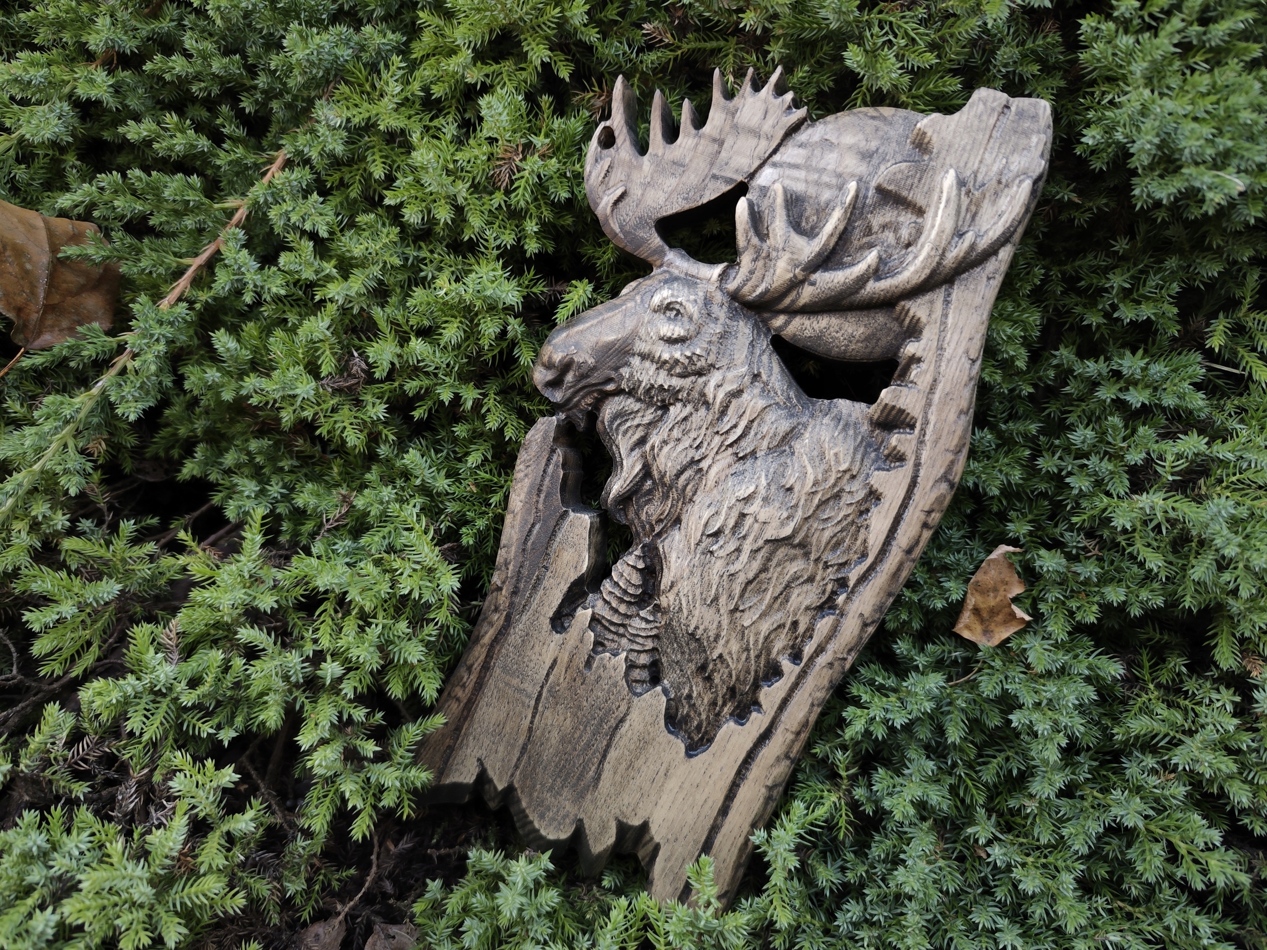 Plácačka dřevěný los na pozadí lesa dárek pro myslivce 30cm