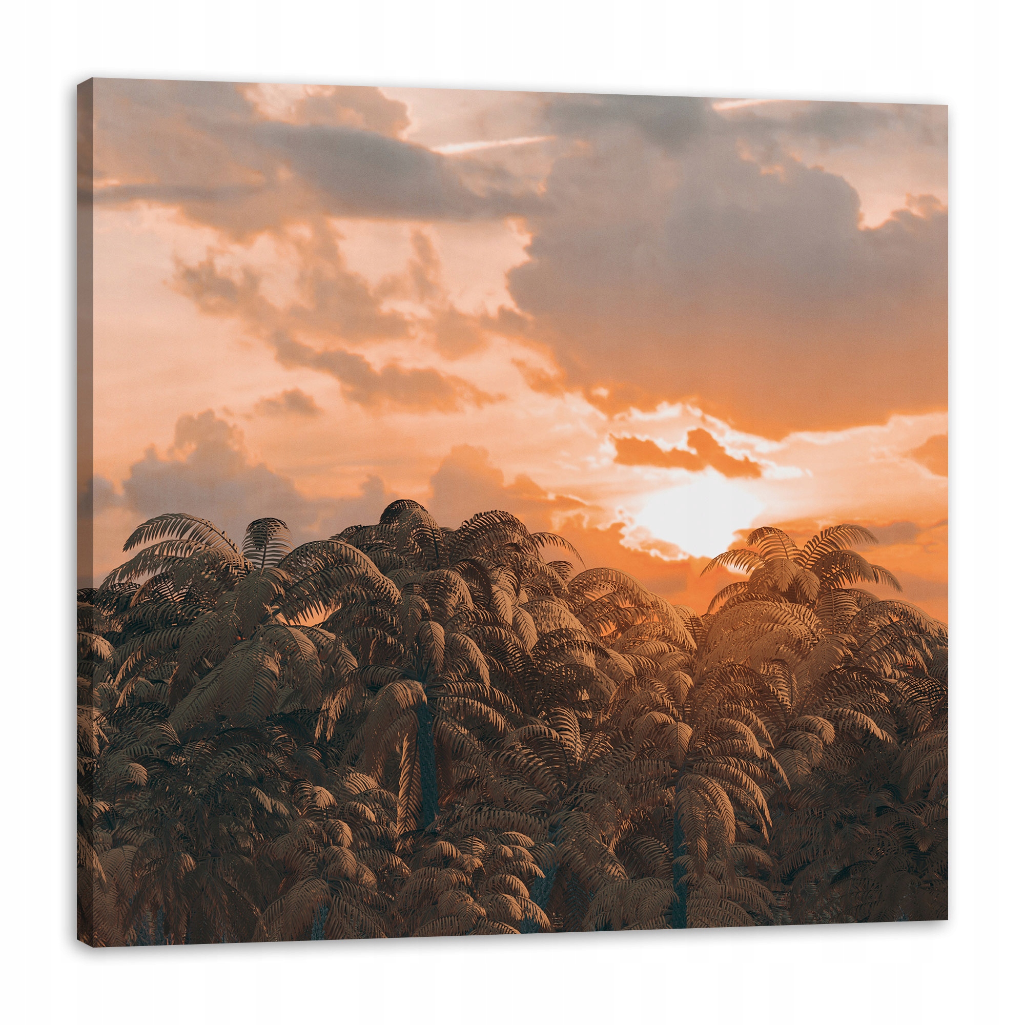 Obraz na plátně Stromy Západ Slunce Mraky Nebe 80x80 cm