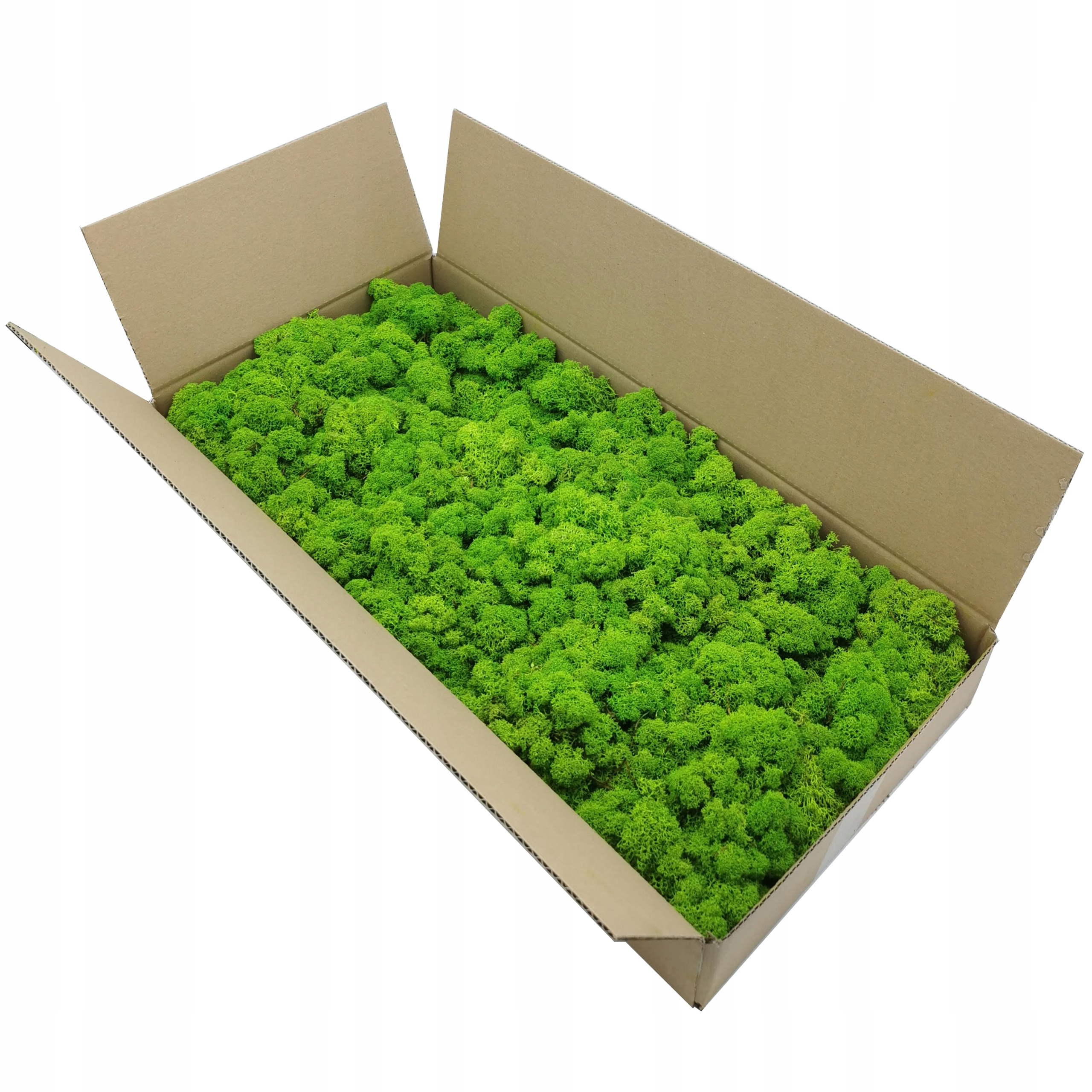 Mech chrobotek dekoracyjny 3 KOLORY Marka inna