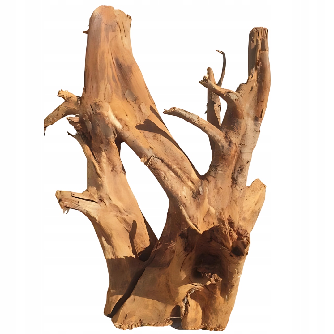 Levně Kořen Mangrovníku pro akvárium Přírodní dekorace Terárium Dřevo 40-50 cm