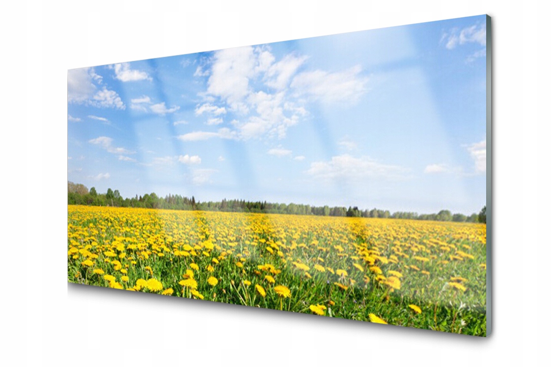 

Panel szklany dekoracyjny Mniszek Widok 100x50