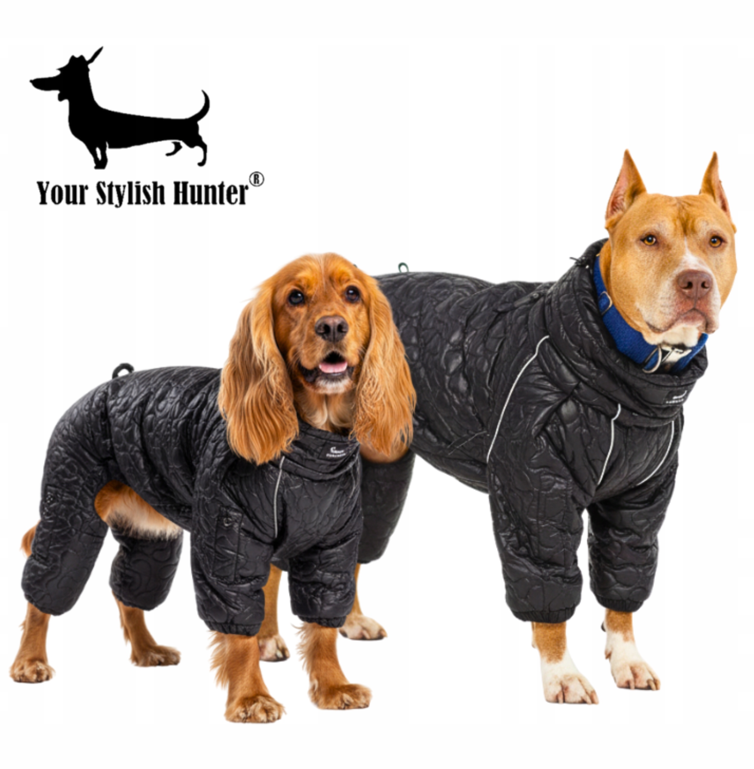 Levně Teplý voděodolný oblek pro středního psa na zimu, černý, 2XS