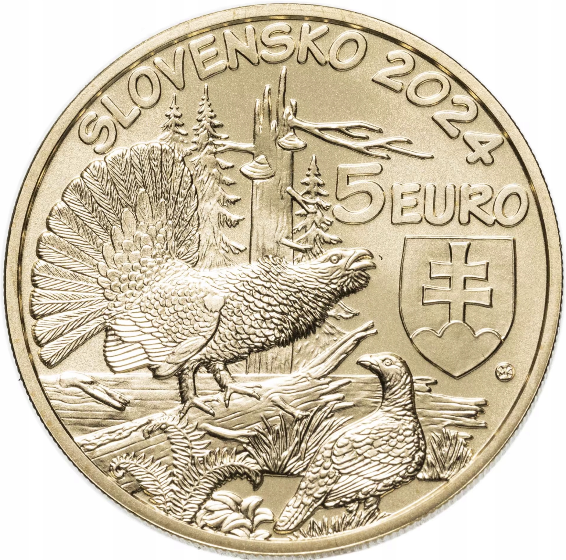 SŁOWACJA 5 EURO 2024 UNC GŁUSZEC