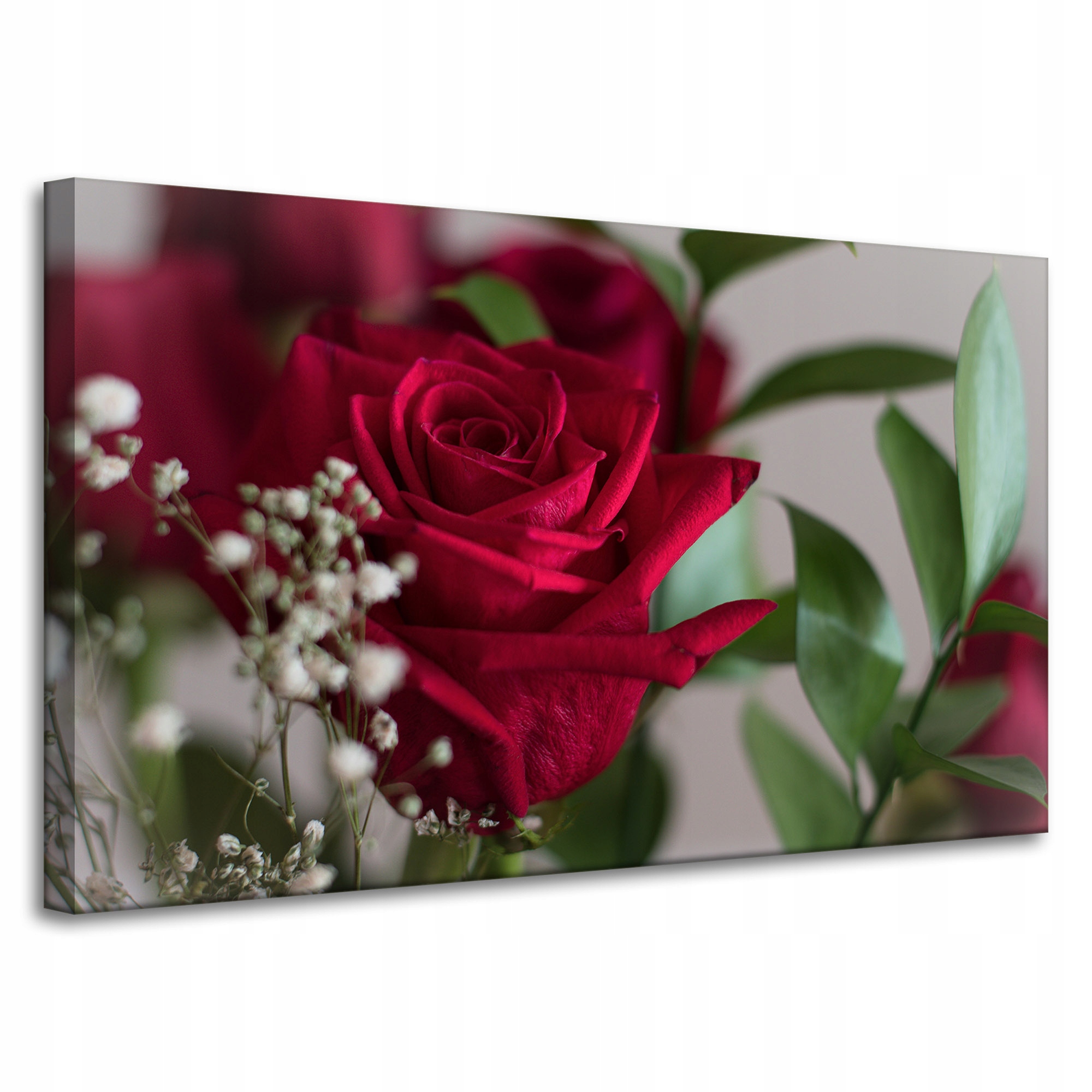 Obraz Canvas Botanika Krvavá růže 100x60 cm