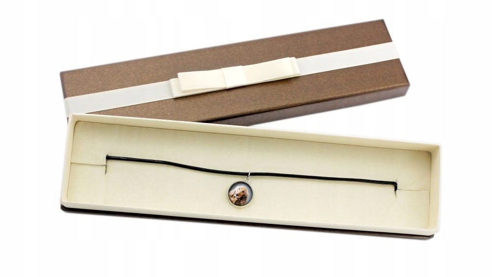 

Cocker spaniel ang Naszyjnik w pudełku, Twoje foto