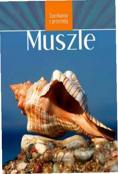 Spotkania z przyrodą. Muszle-Zdjęcie-0