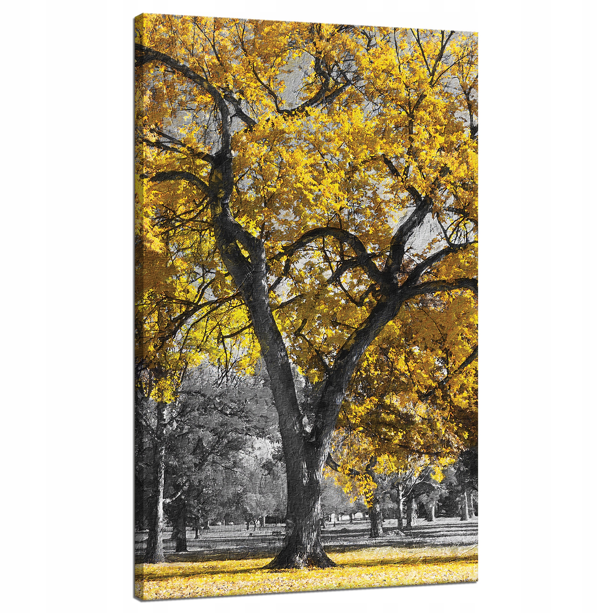 Obraz na plátně Černé Stromy Žluté Listy 70x120 cm