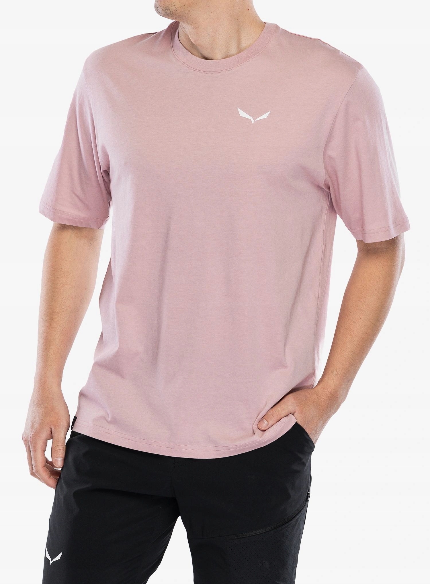 Bavlněné tričko Salewa Eagle Sunset Loose T-Shirt zephyr M