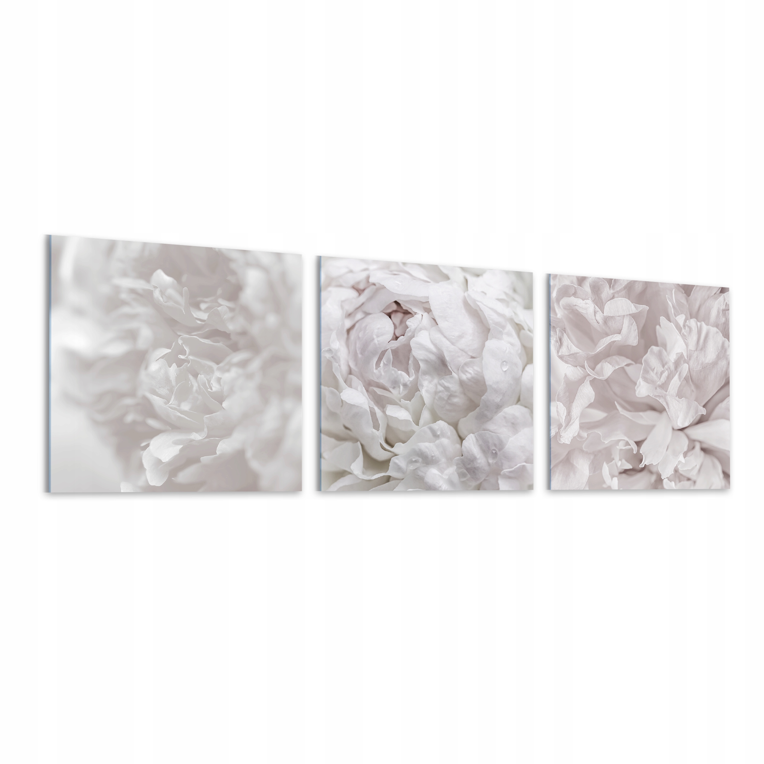 30x30 Set 3x Obrazy Na Plexiskle, Bílé Pivoňky, Do Kuchyně, Obývacího Pokoje 30x30 Z