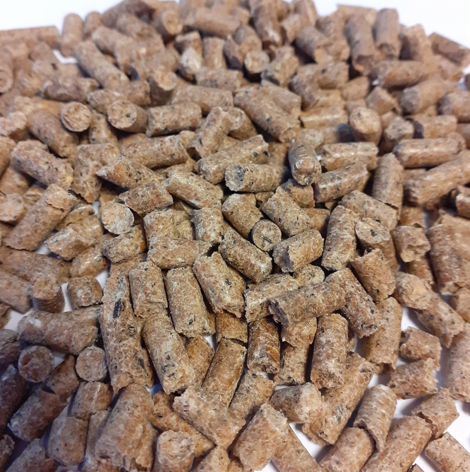 Pasza dla koni Koń 20kg NON GMO Marka inna