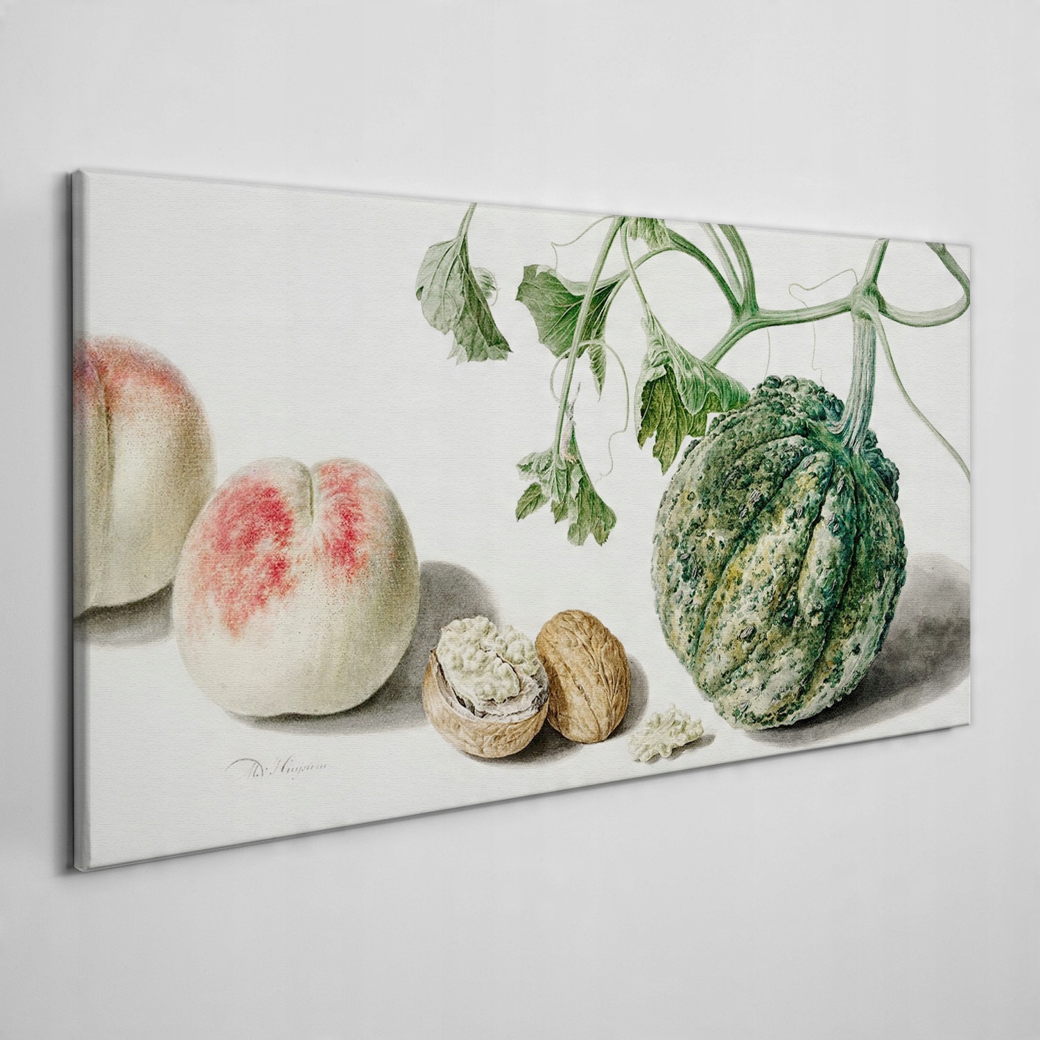 

Foto-obraz na ramie płótno Owoce orzechy 100x50 cm