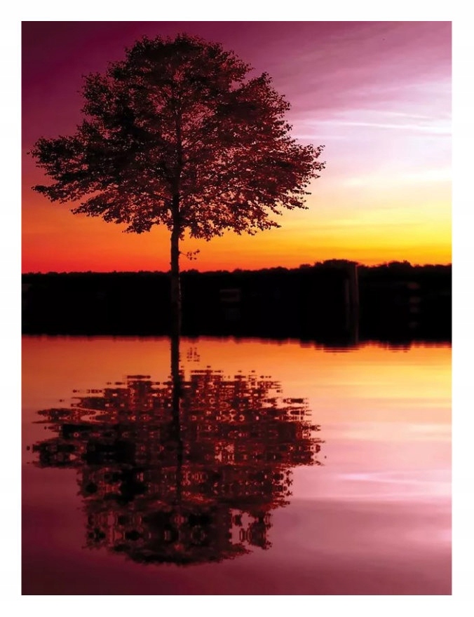 Fototapeta Strom v zapadajícím slunci Harmonie přírody 206x275 lepidlo