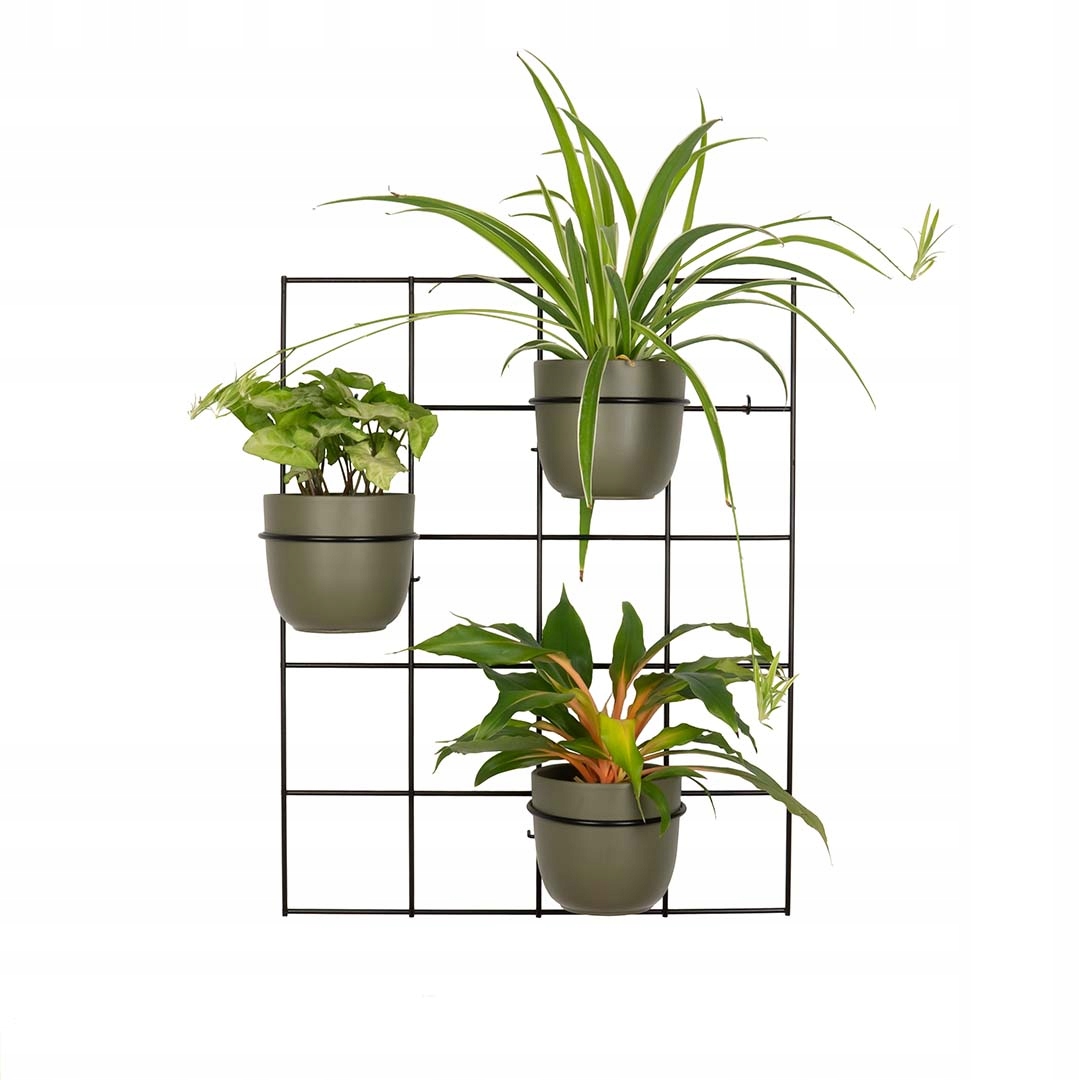 Kwietnik Hedera 3 krata i 3 obręcze na ścianę loftowy ścienny kwietniki