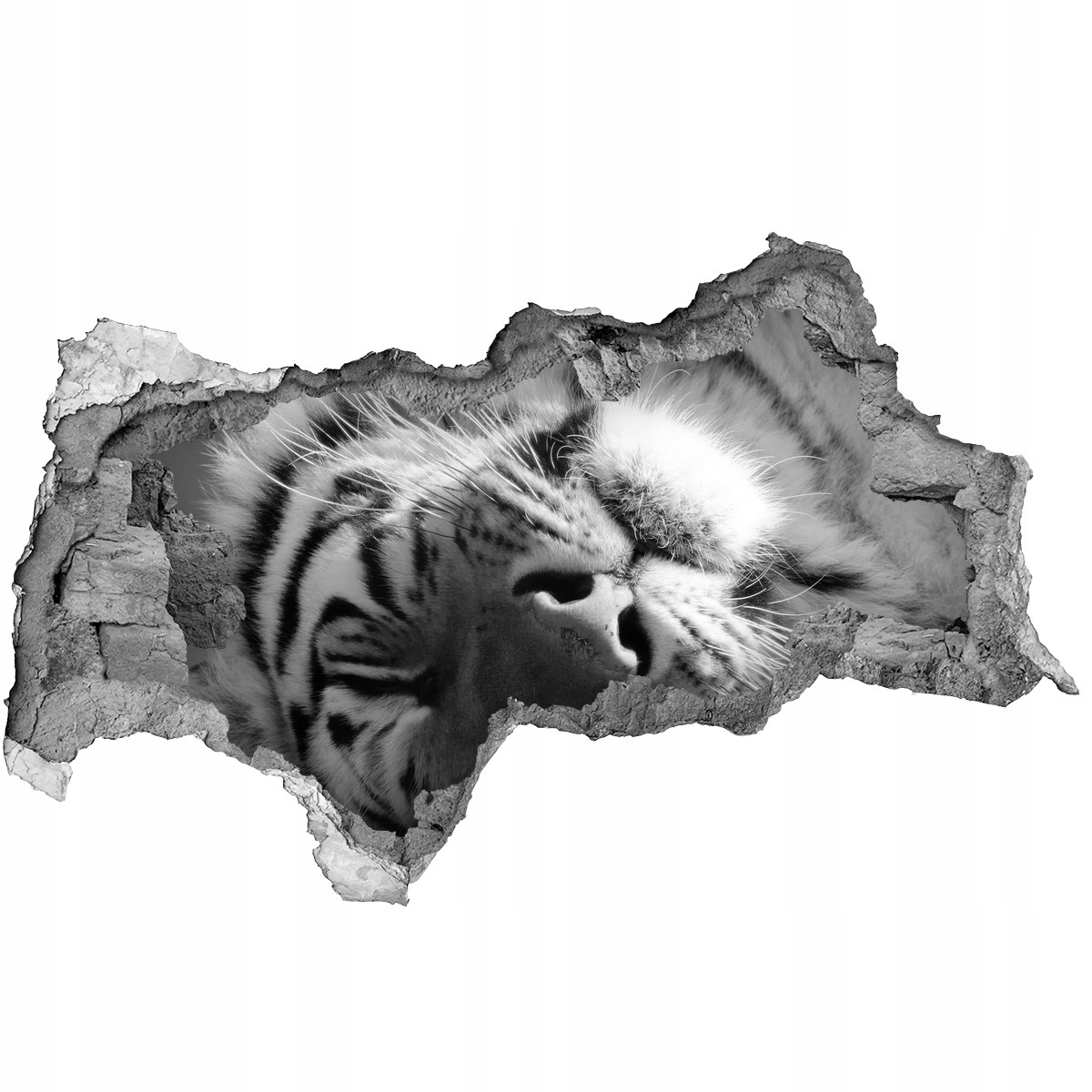 

Dziura 3d fototapeta naklejka Śpiący tygrys 115x88