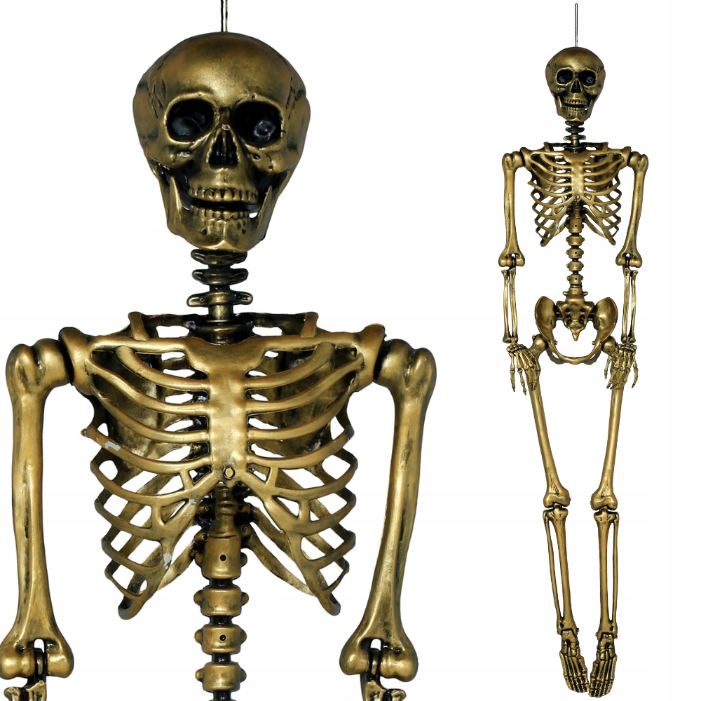 Kostra človeka Zlatá XXL kostlivec dekorácia na Halloween Veľká 160 cm
