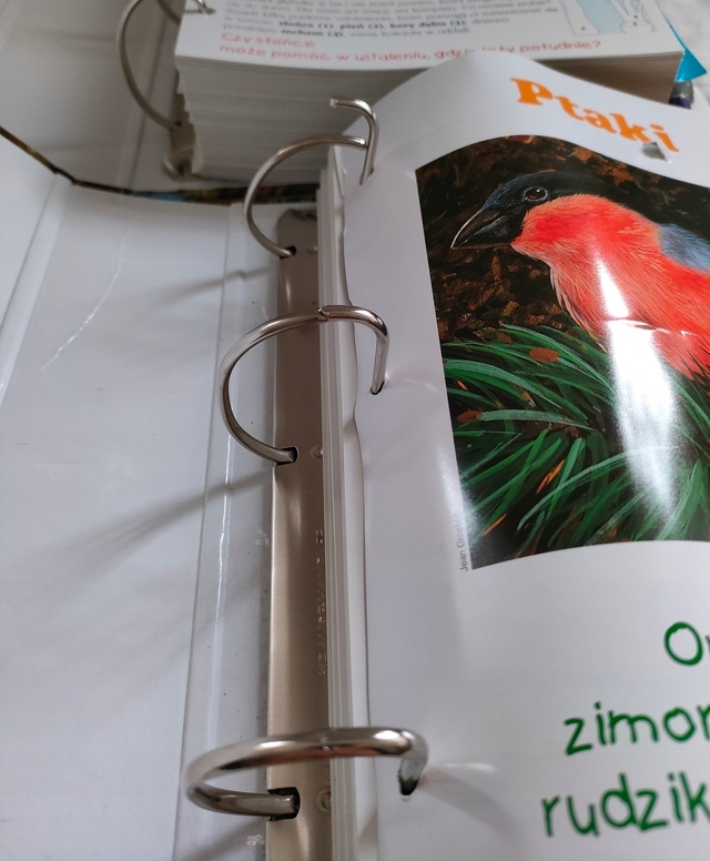 EDITIONS ATLAS segregator przyroda zwierzęta Tytuł EDITIONS ATLAS