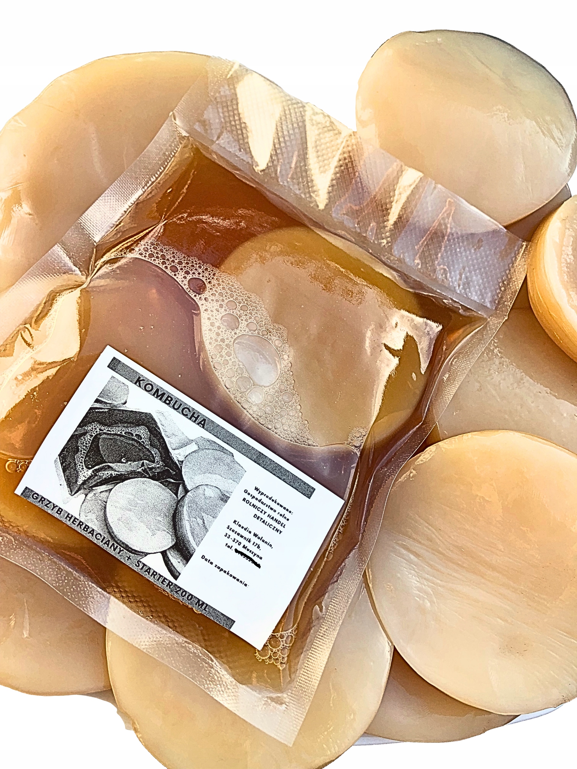 GRZYBEK KOMBUCHA HERBACIANY 10cm + STARTER 300ml + ULOTKA + ŚCIERECZKA