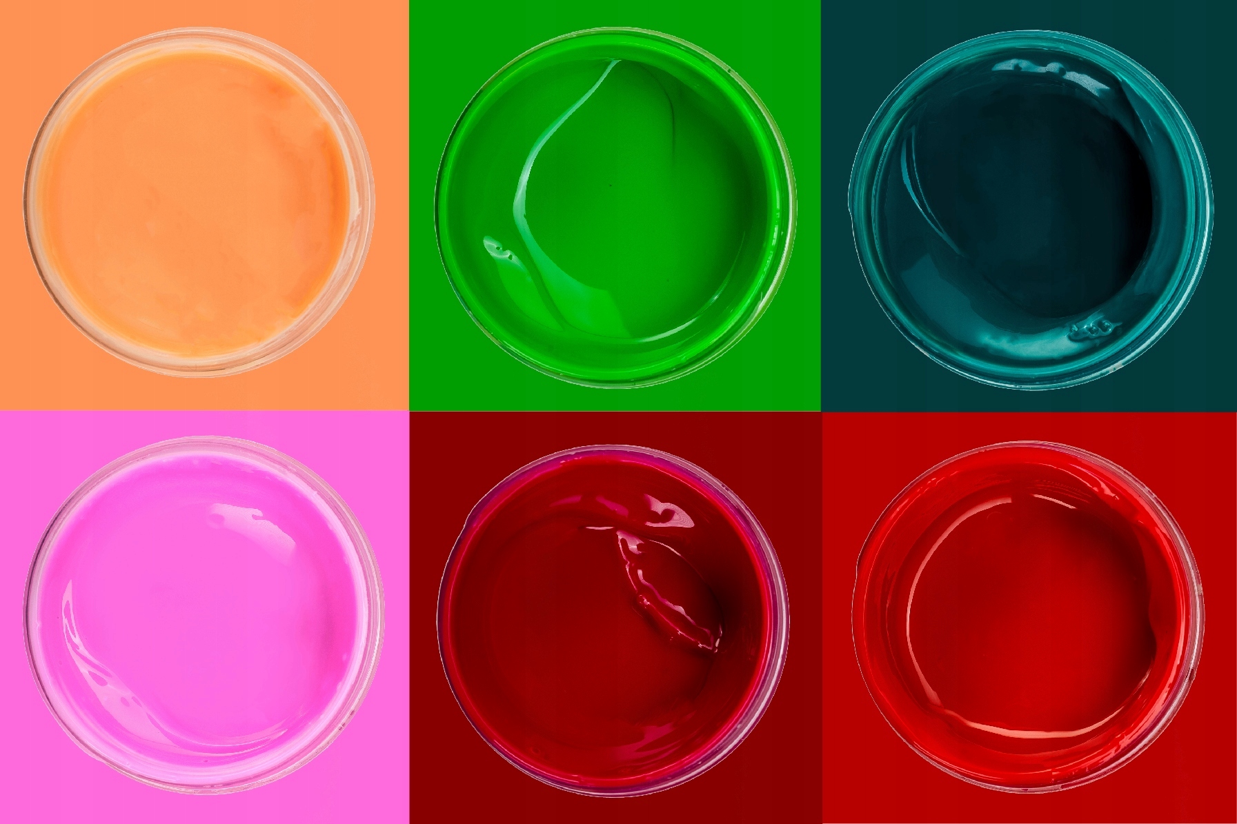 Zestaw farb 6x50 tkaniny jasne WILD ROSE Kod producenta ZEST_6x50_TJ_WILDROSE