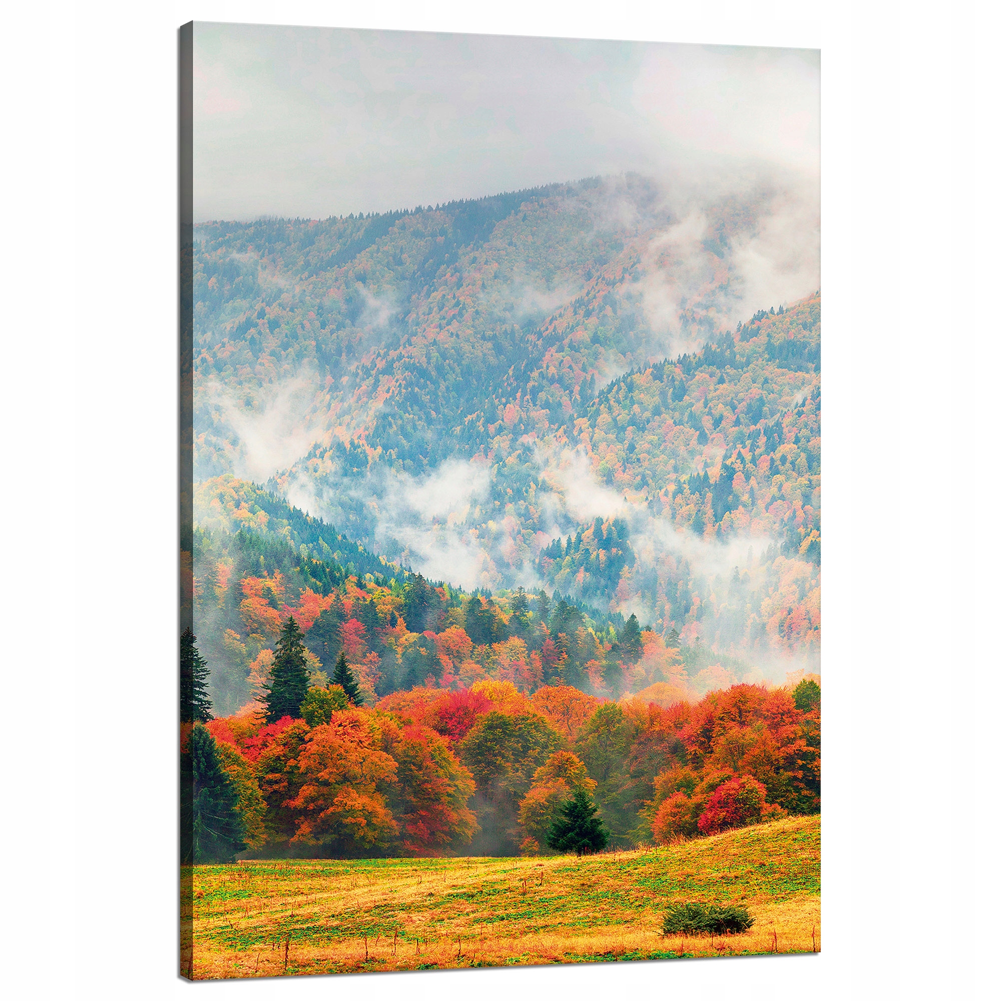 Obraz na plátně Hory Lesy Louky Mraky Příroda 80x120 cm