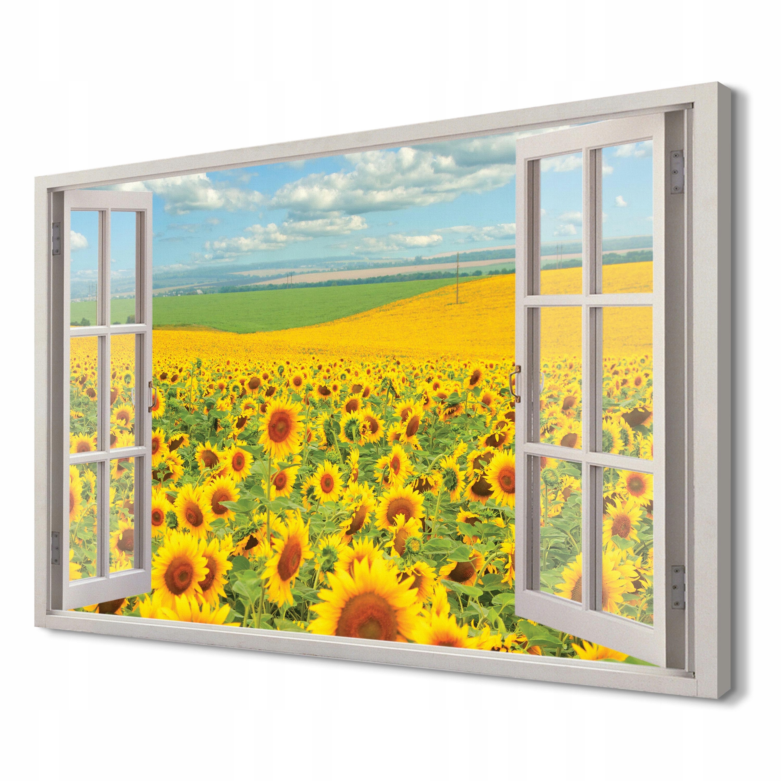 

Pole słoneczników Fotoobraz na płótnie 3d 120x80