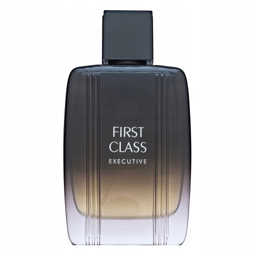 Aigner First Class Executive toaletní voda pro muže 100 ml