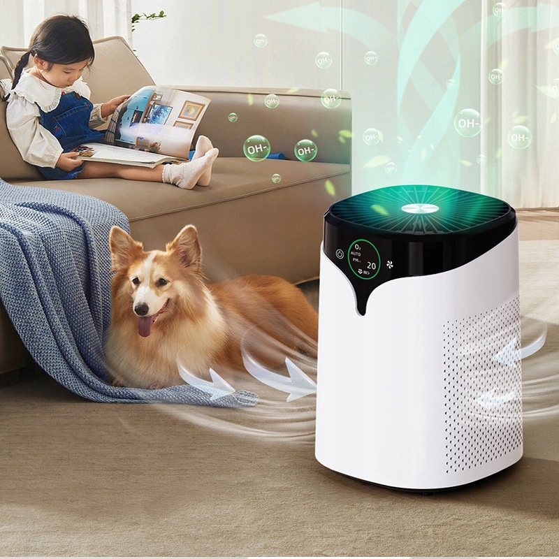 Oczyszczacz Powietrza Z Funkcją Oczyszczania Ozonem Cichy Trzy 3 Prędkości