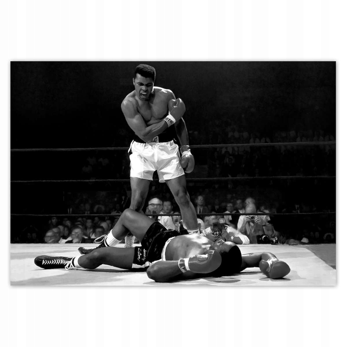 Fototapety 368x254 Muhammad Ali Walka Box
