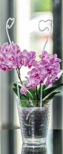 OSŁONKA DO STORCZYKA DIAMENT śr. 12,7CM PRZEZROCZYSTY Form-plastic Kod producenta 3790