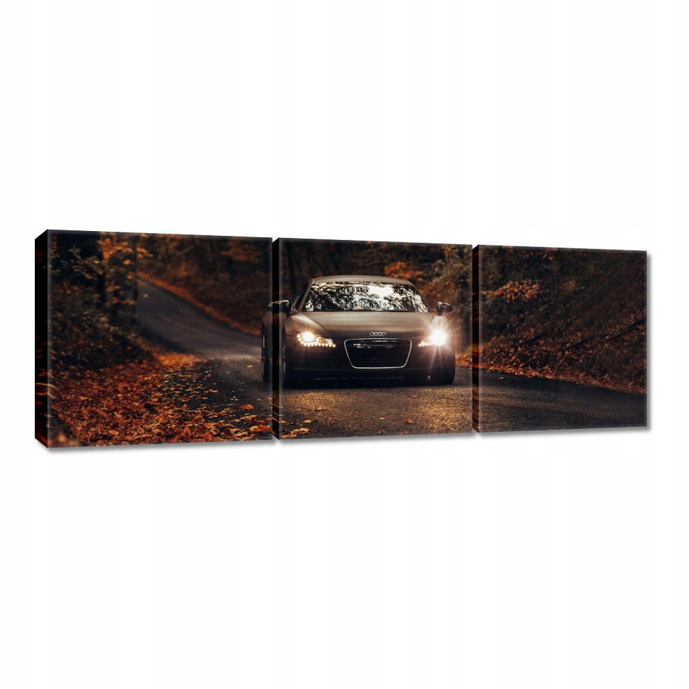 

Obrazy 60x20 Audi Jesienny pejzaż
