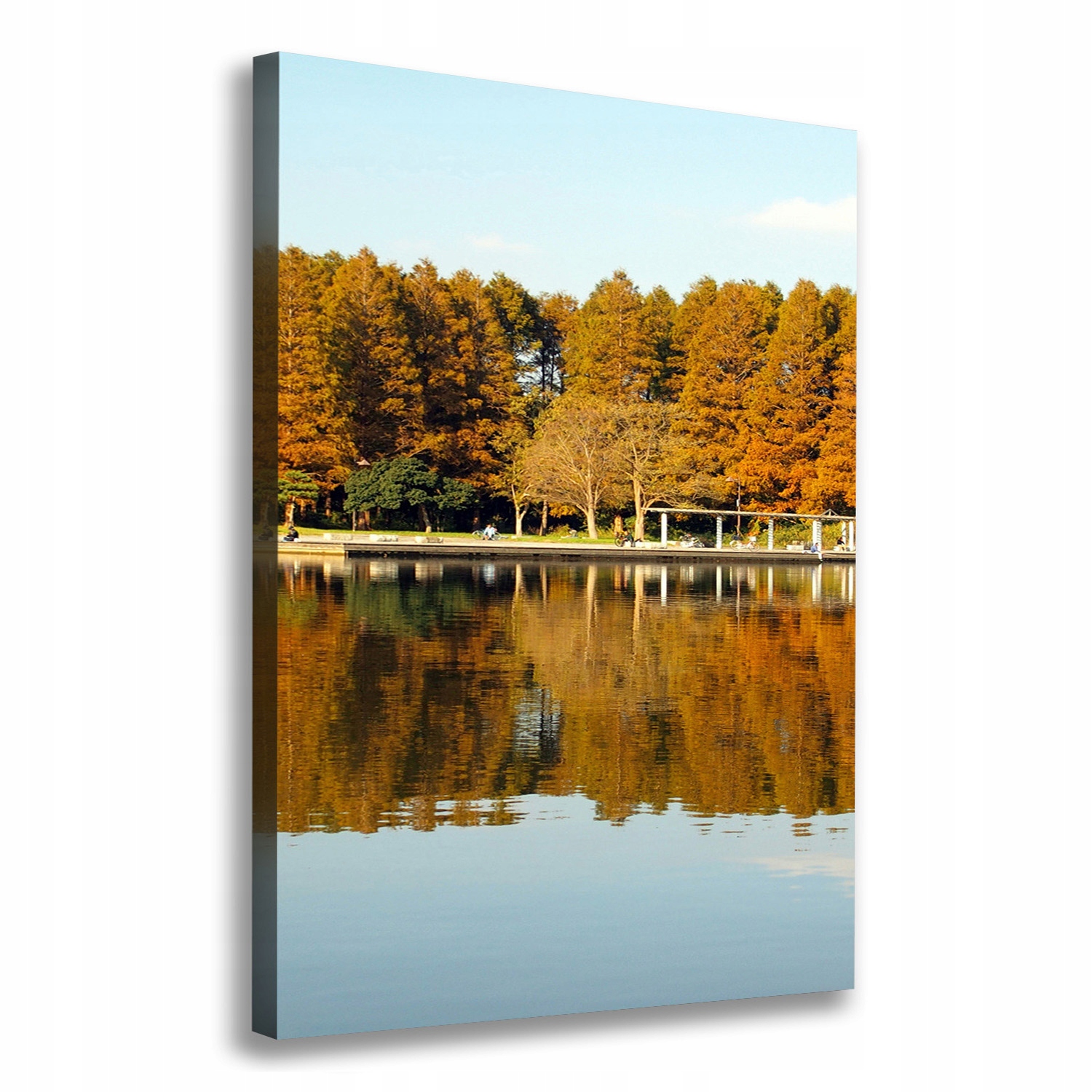 

Foto obraz na płótnie Park jesienią 70x100 cm