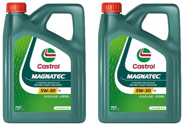 Castrol 15F6C5 Motorový Olej