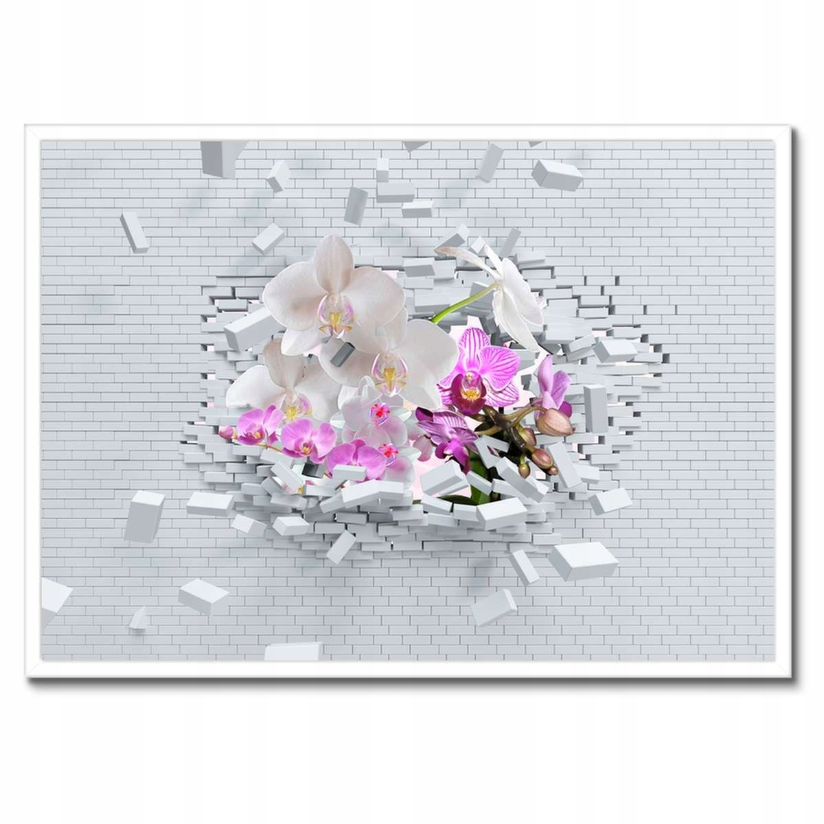 Plakáty v rámu 70x50 Orchidejem do zdi Květiny