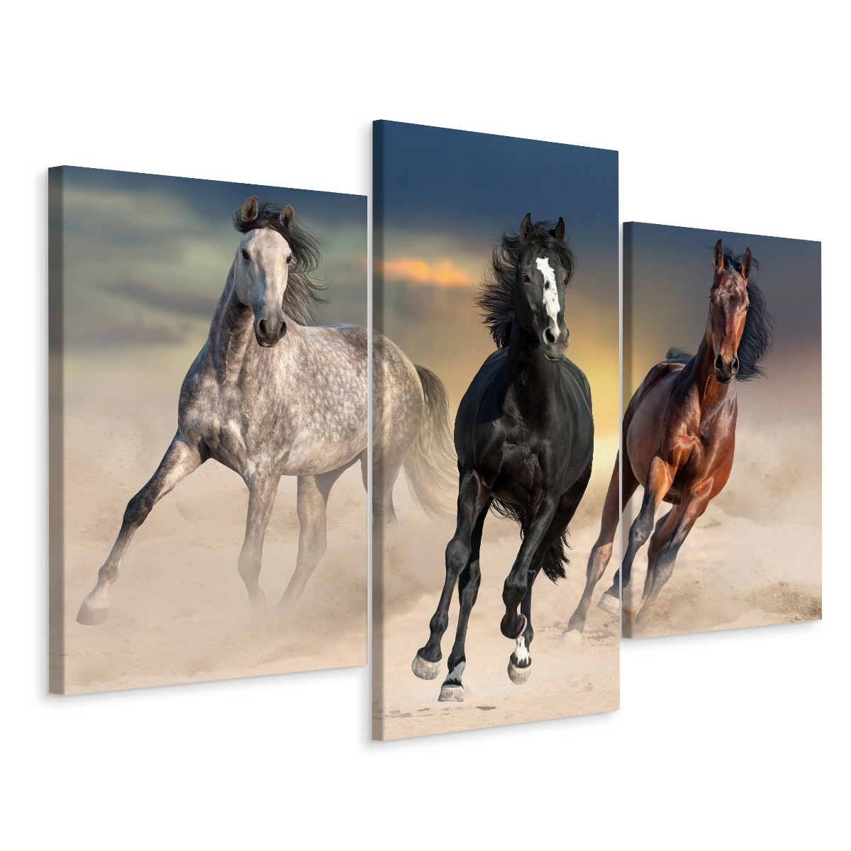 Obraz Triptych cválající koně Poušť 3D 120x80