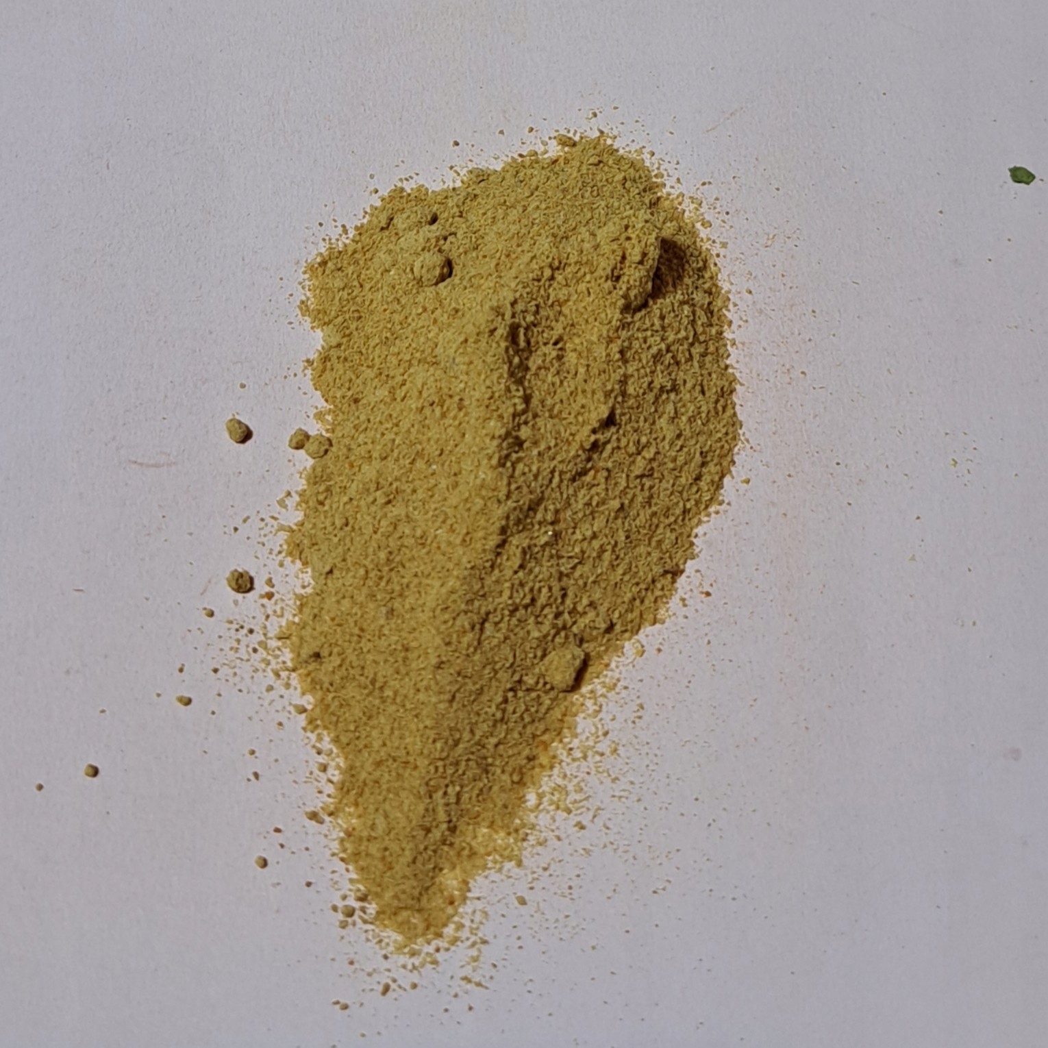 Astafetida 1 kg Rafex