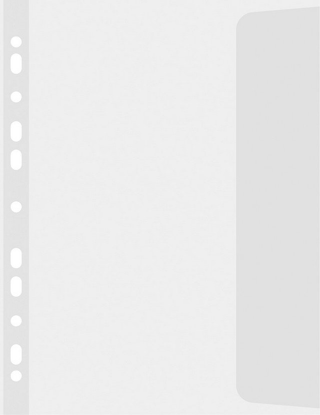 

Koszulki groszkowe B4 100µm Donau z klapką 10szt.