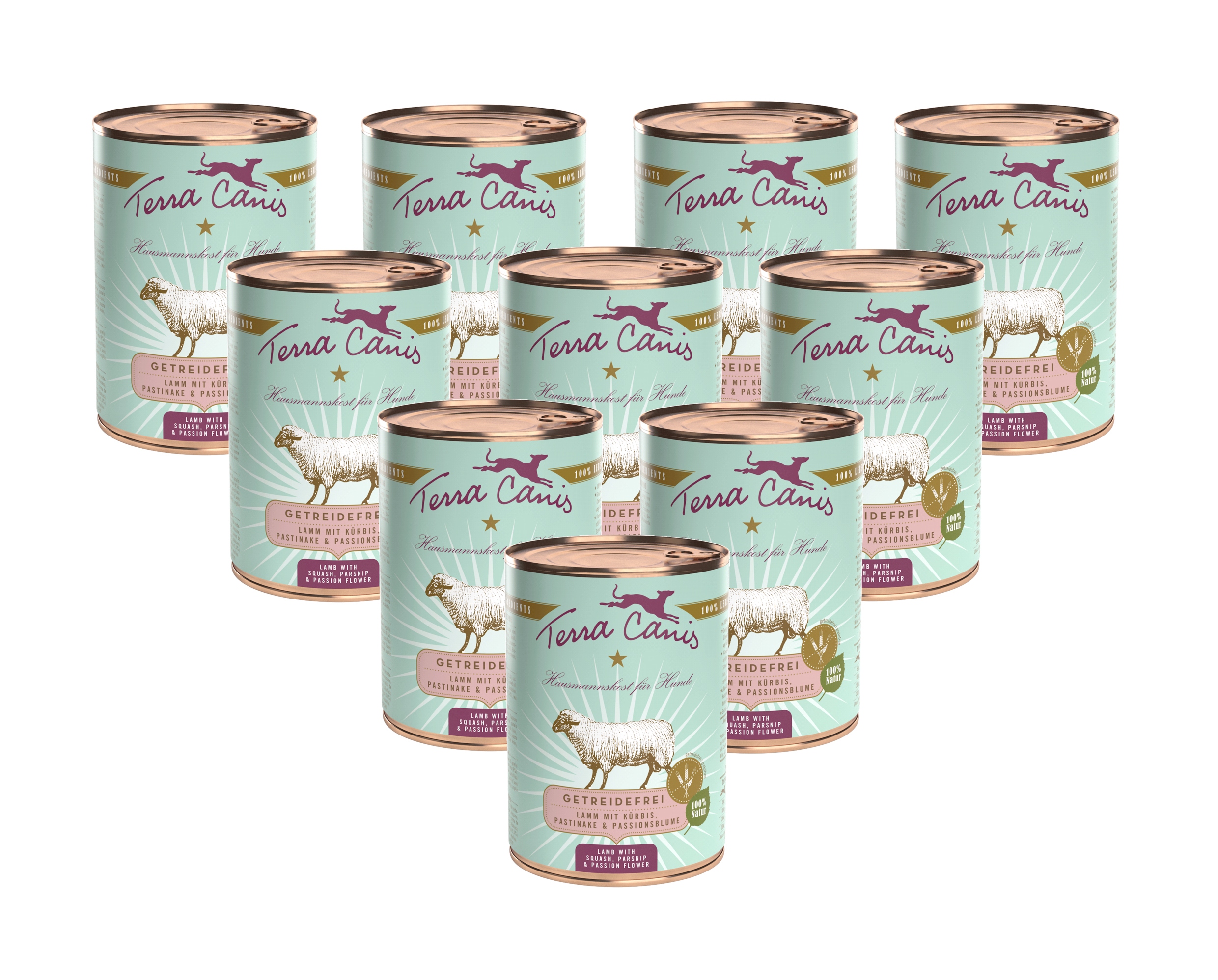 Terra Canis Jehněčí maso s dýní, pastinák 10x400 g