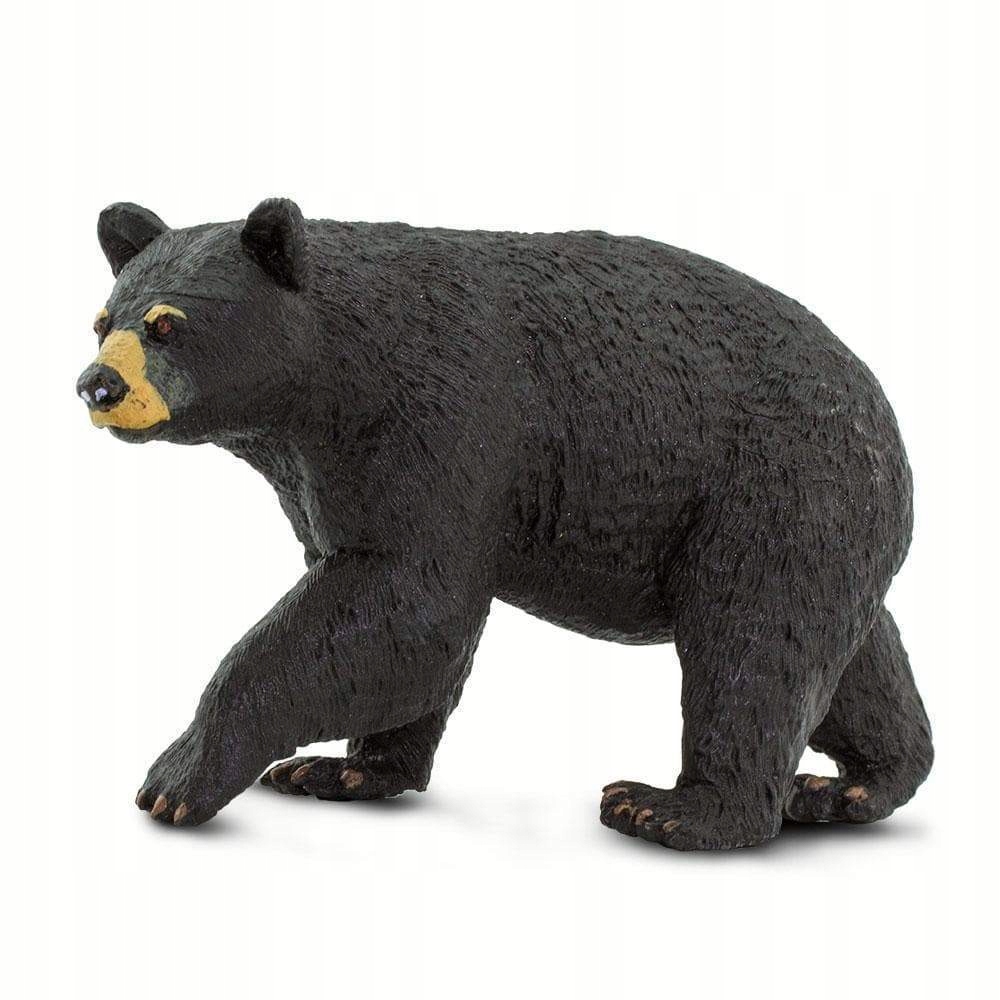 

Czarny Niedźwiedź Black Bear Safari Ltd. 273529