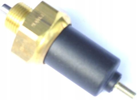 6185248 6137525 - Стартовий термостат Transit 2.5 D 1985-2000 Bosch