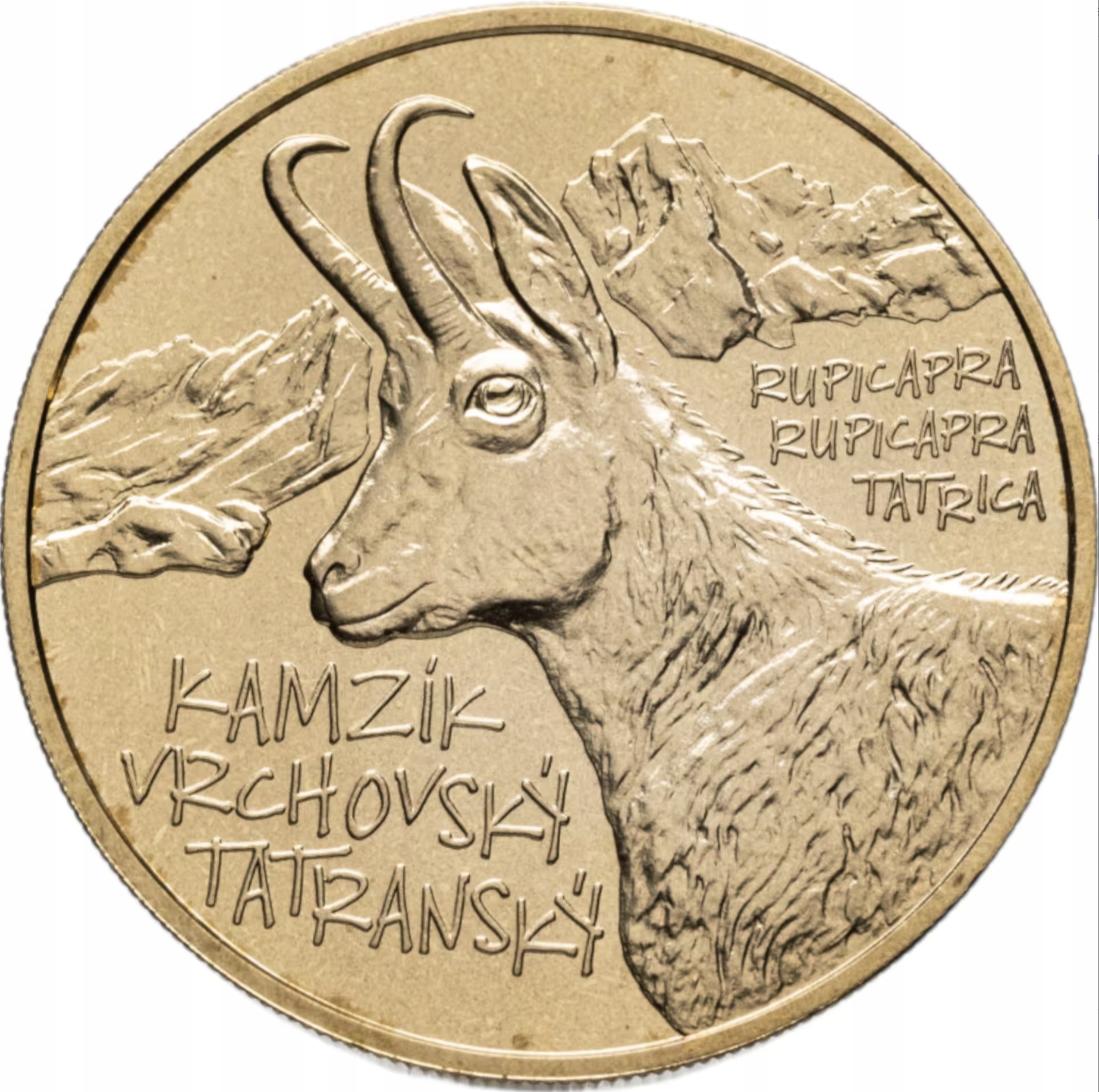 SŁOWACJA 5 EURO 2022 UNC KOZICA TATRZAŃSKA