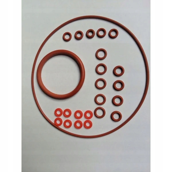 Delonghi Eam uszczelka zaparzacz nr N020