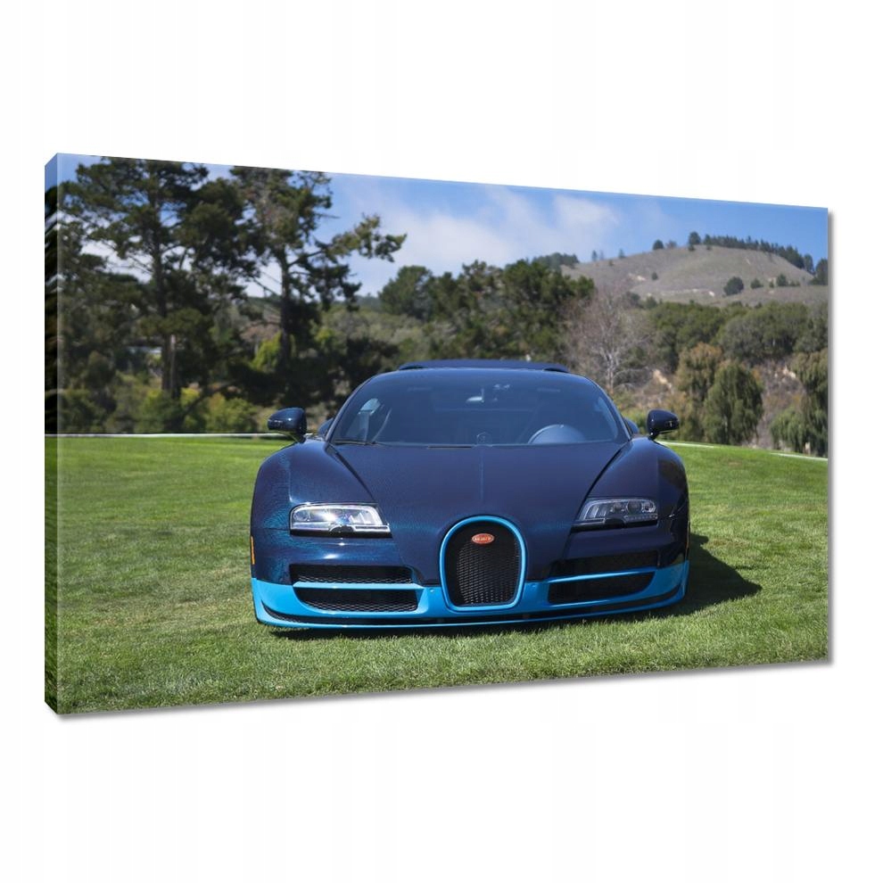 

Obrazy 120x80 Bugatti Auto