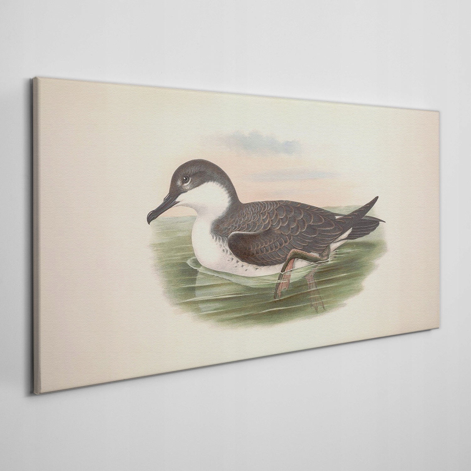 

Obraz na płótnie Ptaki dzikie zwierzęta 100x50 cm