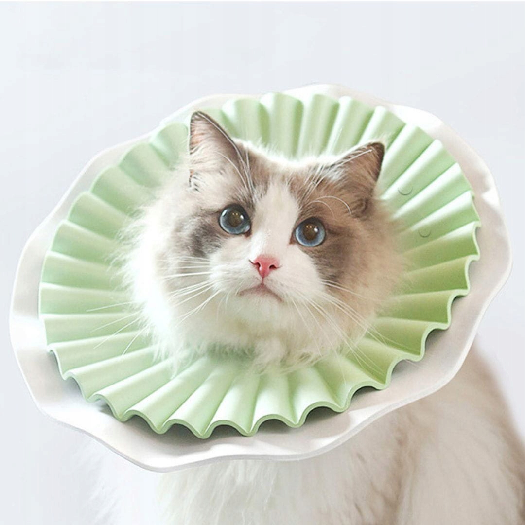 Levně Pěnový ochranný límec pro kočky a malého psa Elizabeth zelený L