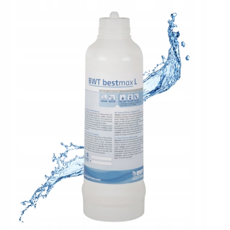 Wymienny wkład, filtr wody Bwt BestMax L dla gastronomii, kawiarni