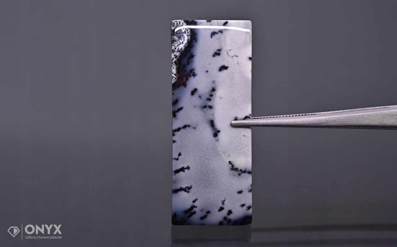 Dendritový achát z Turecka konvexní obdélníková deska