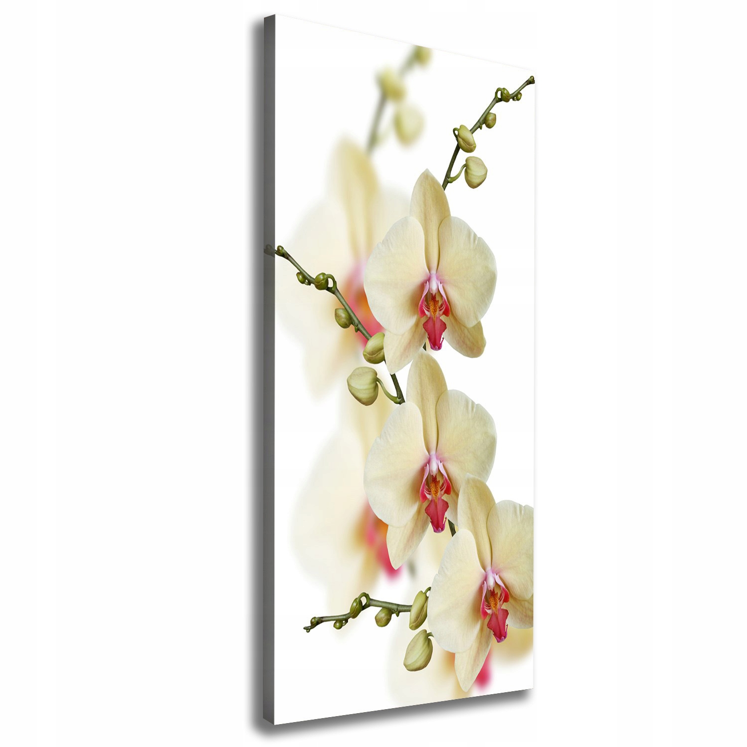 

Foto obraz na płótnie do salonu Orchidea 50x125 cm