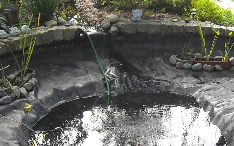 FOLIA DO OCZEK WODNYCH basenowa akwen czarna 6x5m Marka Warter Polymers