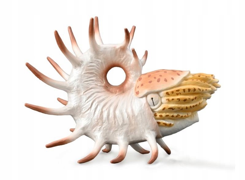

Dinozaur Coperoceras CollectA 88946