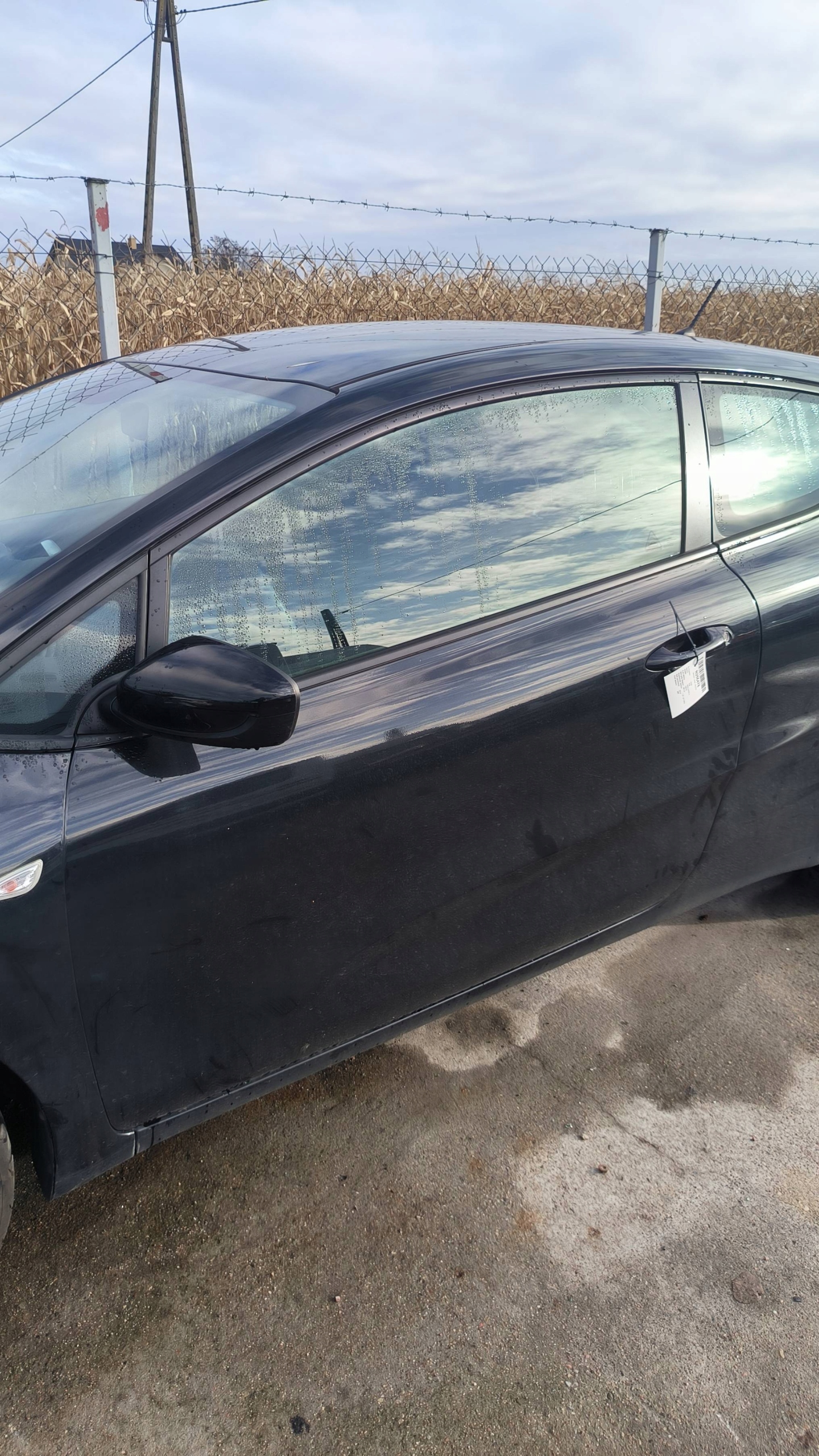 door left front WK KIA PRO CEED II